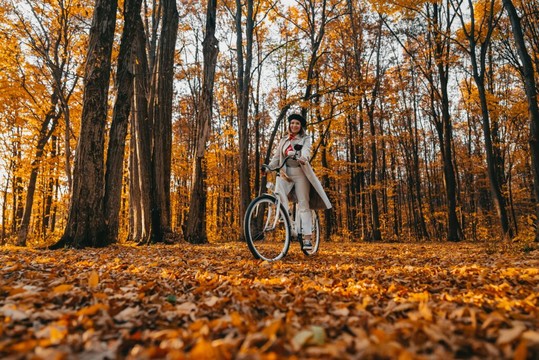 Herfstactiviteiten